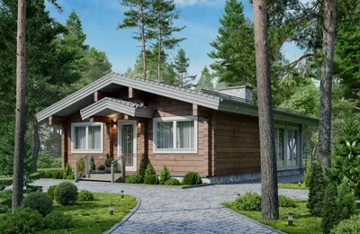 A charming wooden cabin with a gray roof surrounded by lush green trees and a paved pathway.